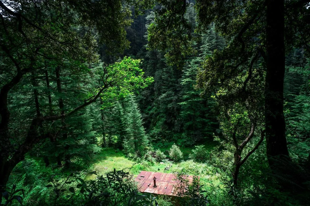 Hassan Valley Retreat Kufri