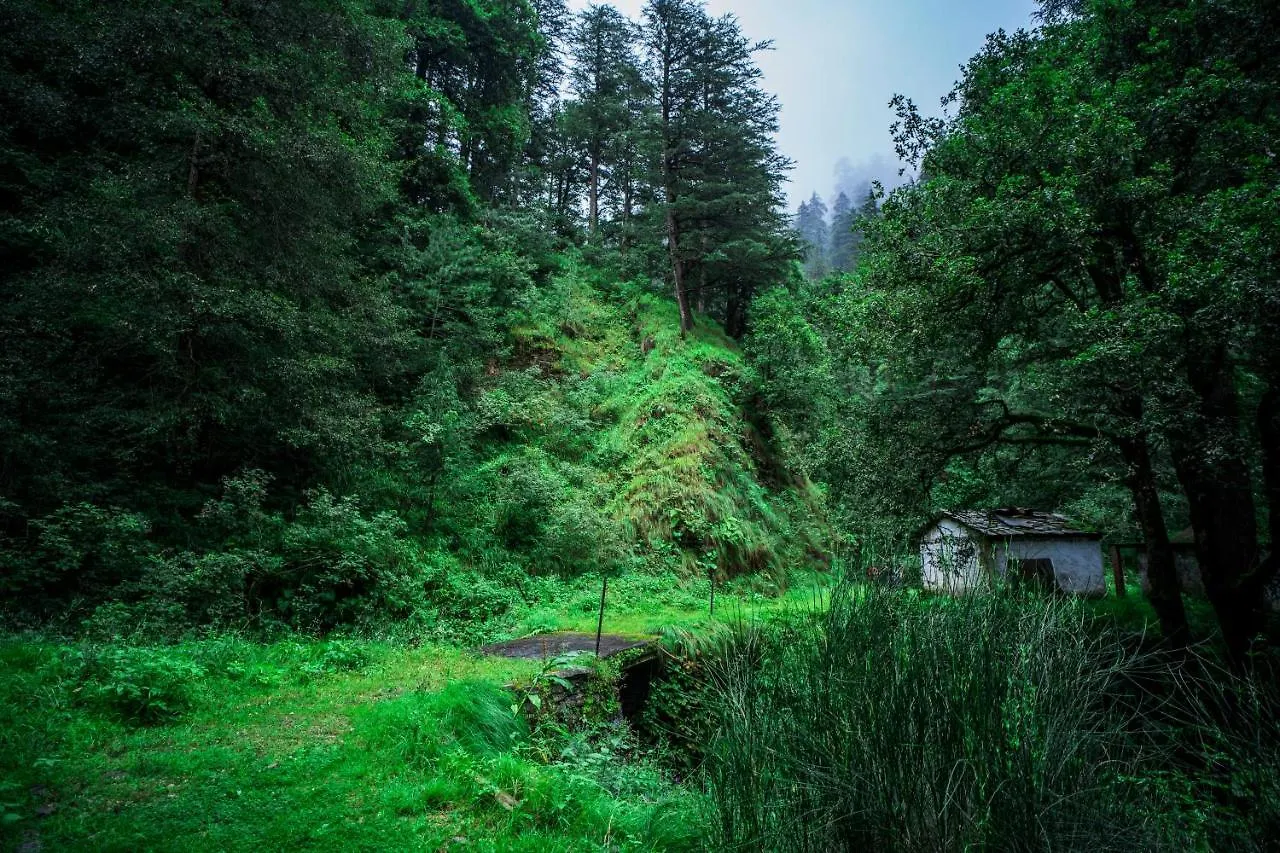 Bed & Breakfast Hassan Valley Retreat Kufri