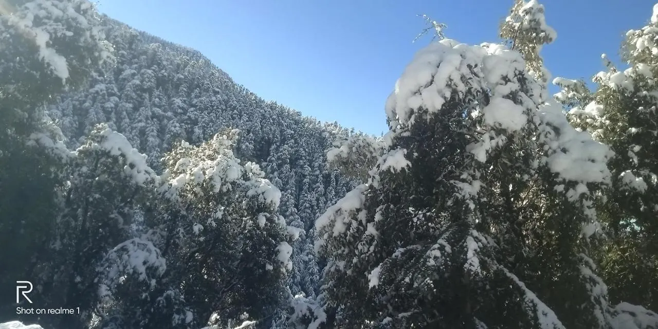Hassan Valley Retreat Kufri 3*,