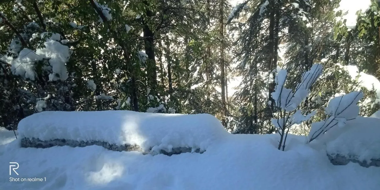 Bed & Breakfast Hassan Valley Retreat Kufri