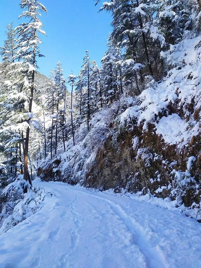 Hassan Valley Retreat Kufri