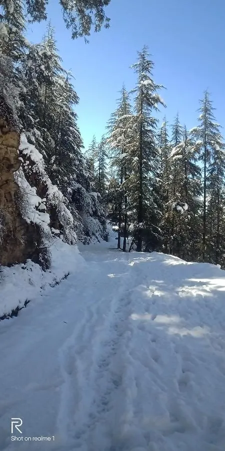 Hassan Valley Retreat Kufri Bed & Breakfast