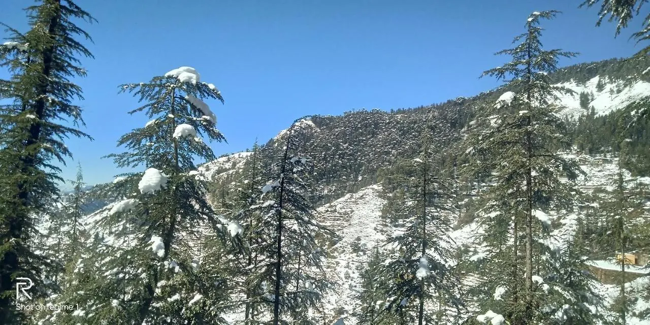 Hassan Valley Retreat Kufri India
