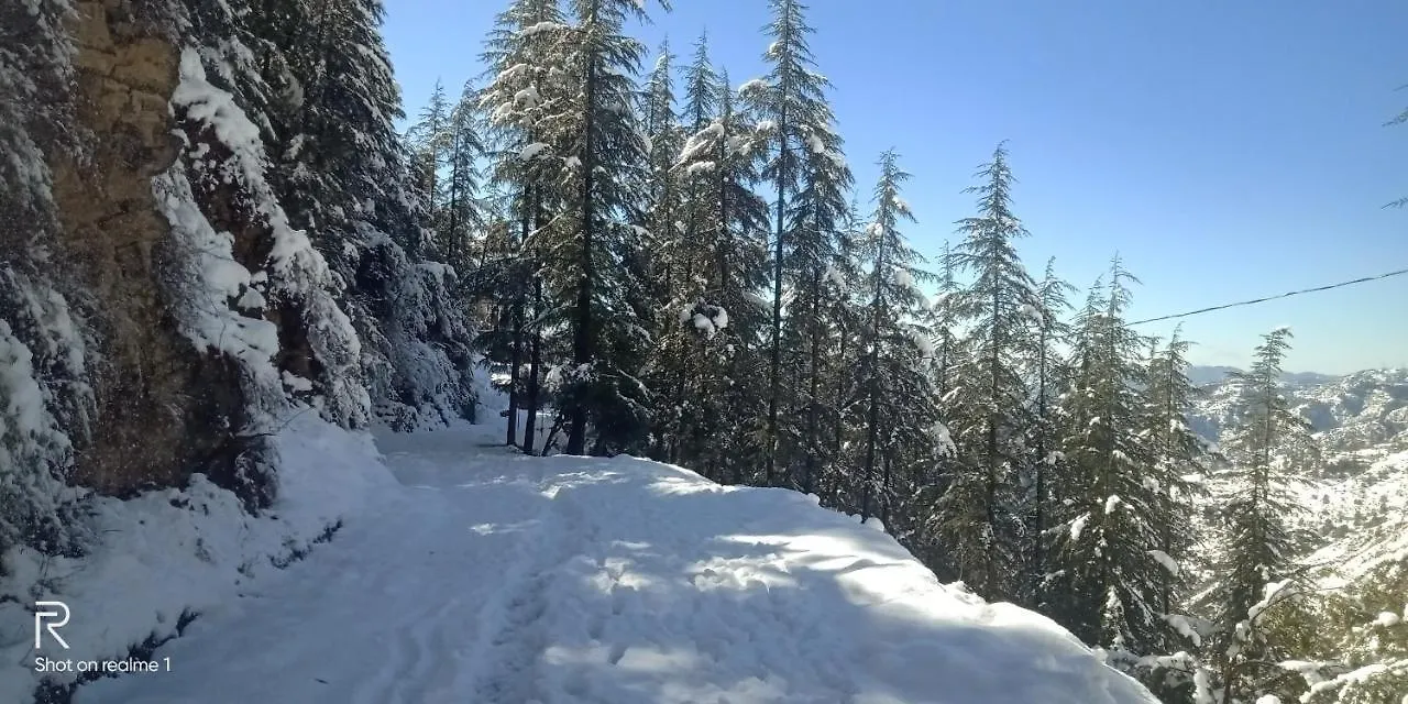 Hassan Valley Retreat Kufri 3*,  India