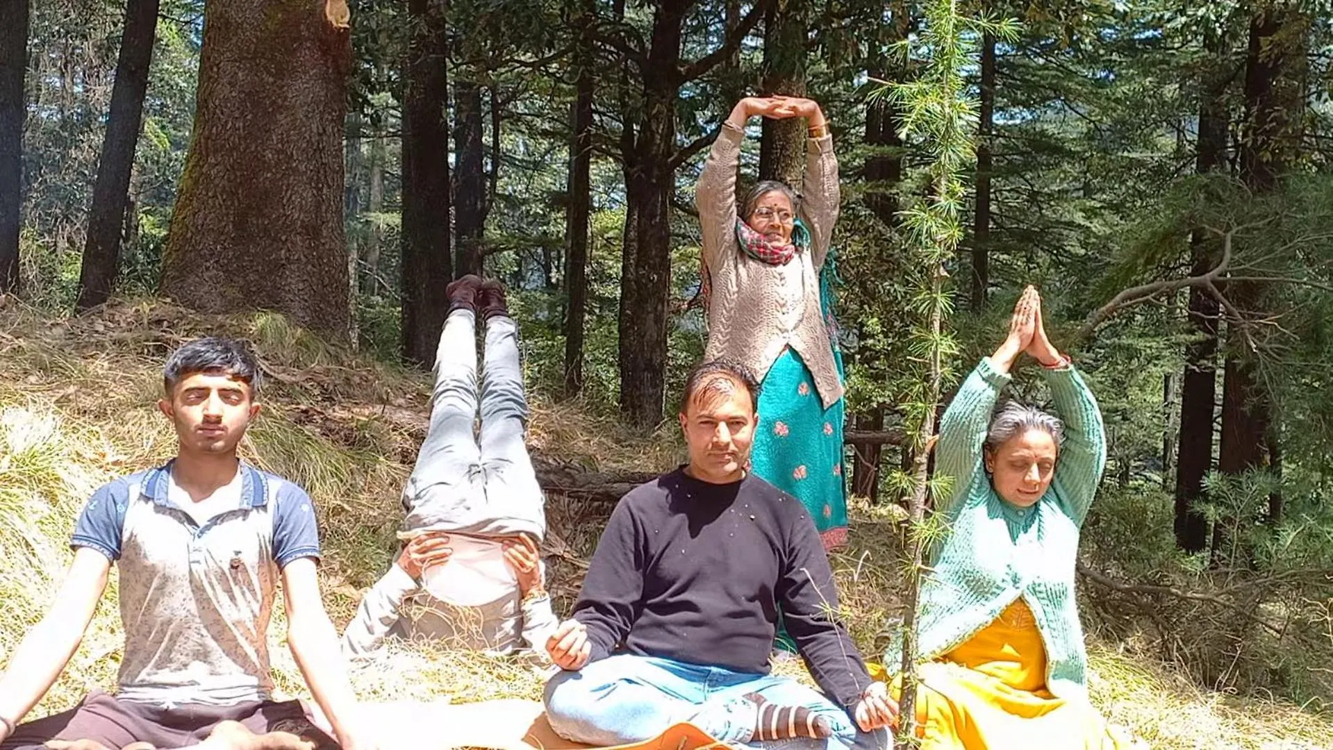 Hassan Valley Retreat Kufri