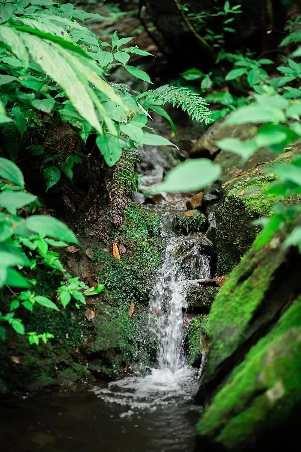 Hassan Valley Retreat Kufri Bed & Breakfast